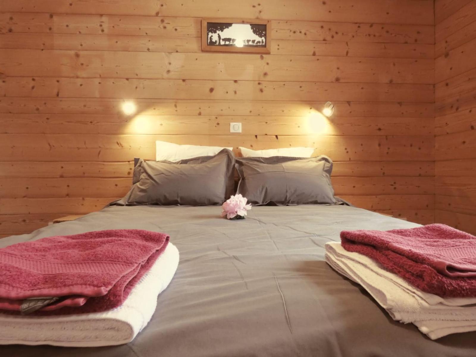 Chalet Le Bois Joli 阿尔克河畔博讷瓦勒 客房 照片