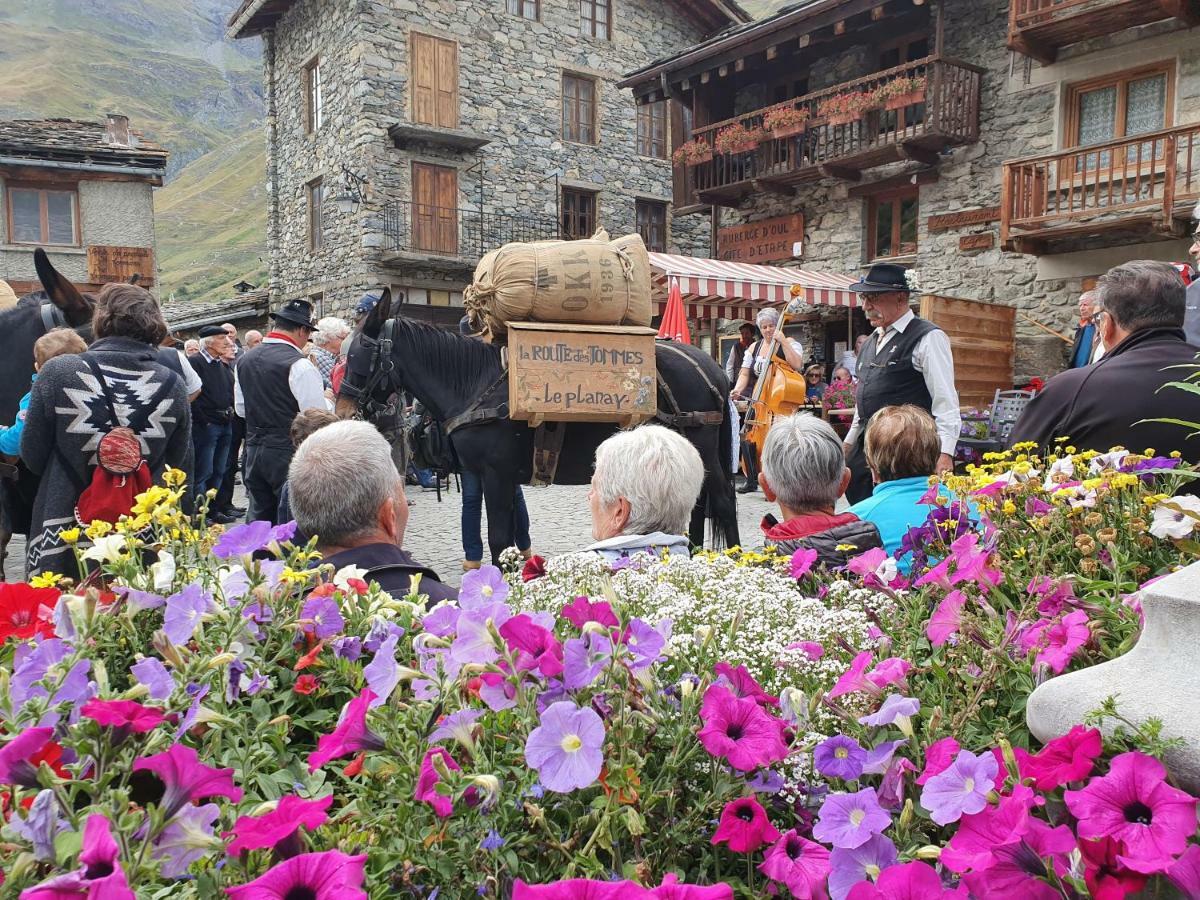 Chalet Le Bois Joli 阿尔克河畔博讷瓦勒 外观 照片